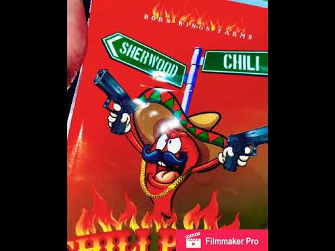 585 music ... Finish Line.. Ox from chili ave ft Inf the west side rap God