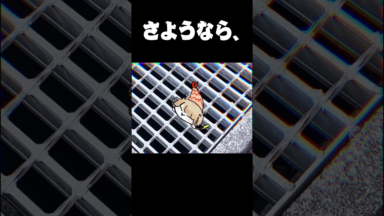 なにかいる・・・【えびの天使ちゃん研究レポート】 #shorts