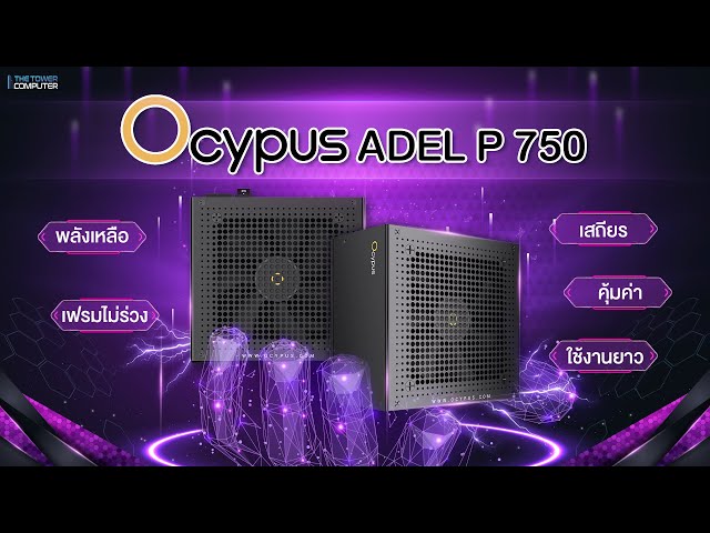 PSU Ocypus Delta P750 Bronze