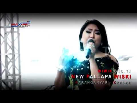 Tak pernah. Wiwik sagita. New pallapa