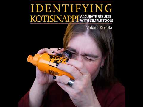 niilo22 - Kyyryilyt & Paasaukset (9.2.26 - 15.2.26) Paskiaispullaste EDITION