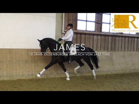 SOLD - Dressurpferd  - 10-jähr. Oldenburger Wallach von Jazz Time, Stm. ca. 1,72, M-Dressur - James