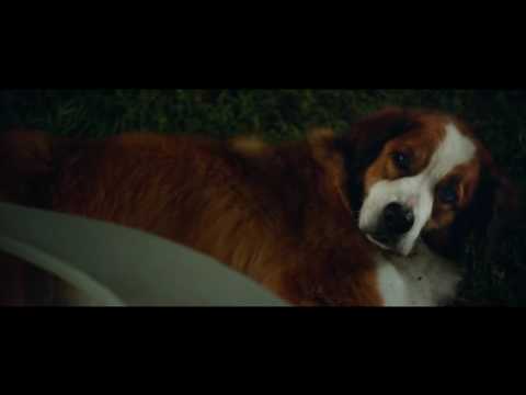 The Choice - first met