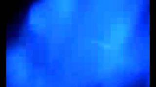 Amin Abbasov-Sayende 2o11