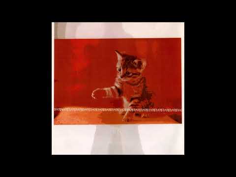 07:47 - Light not seen and sound which does not hear