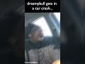 Dreamybull Gets In A Fatal Car Accident Shorts Ambatukam