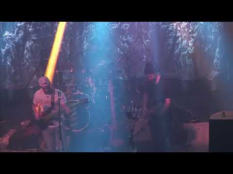 The New Motif 11 19 2022