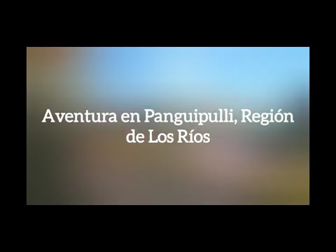 Finde en Panguipulli, región de Los Ríos 