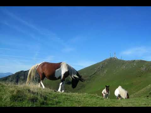 Hegoak  ( Pays Basque )