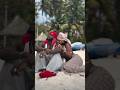 Diamondplatnumz Msumari Wasafi Shorts Kenya Tanzania Wcb Uganda Music Nigeria Trending
