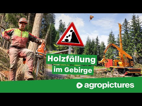 Holzernte mit Seilbahn am Steilhang | TST forestry 600 Gebirgsharvester und TST Timbernator