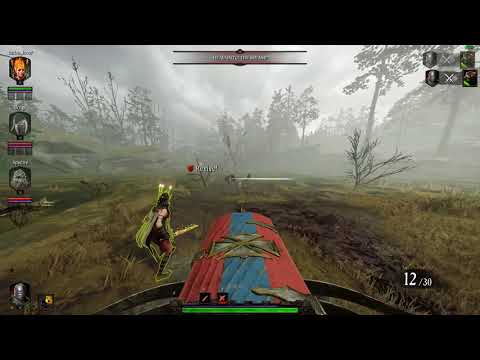 Vermintide 2  WTF / Funny moments