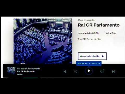 ROMA, 26 NOVEMBRE 2020 - RAI-GR PARLAMENTO - LA RADIO DELLE ISTITUZIONI - SI PARLA DI DIEGO ARMANDO