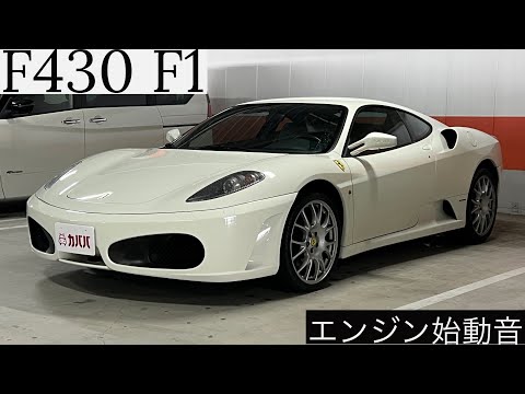 購入し音は全てフェラーリのエンジンオンです