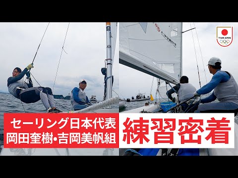 ジラリアについて詳しく解説