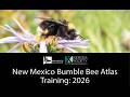 New Mexico Bumble Bee Atlas 2026 Training Webinar