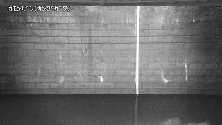 掃部橋映像監視局