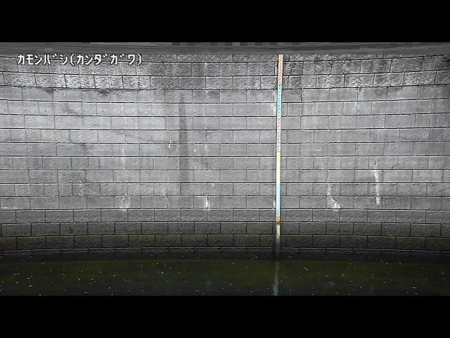 掃部橋映像監視局