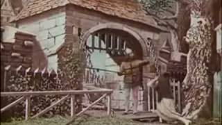 Smashing Pumpkins: Daphne Descends