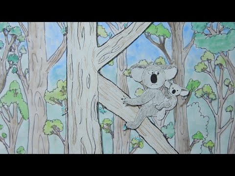 Canción del abc - Nilocos