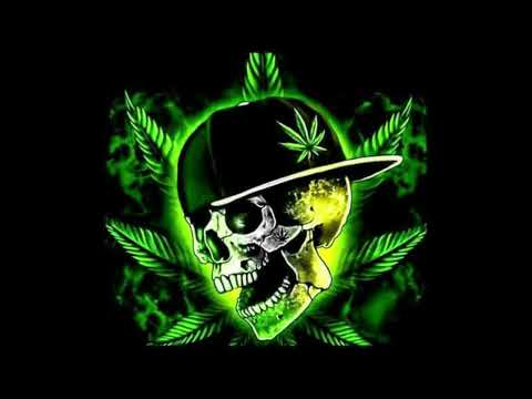 Zebra & Anthony malvo   body guard