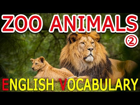Learn Zoo Animals Words With Pictures in English #2 | English Vocabulary For Beginners