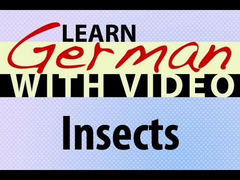 Learn German with Video Common Animals