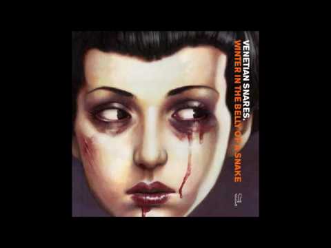 Venetian Snares - Dad