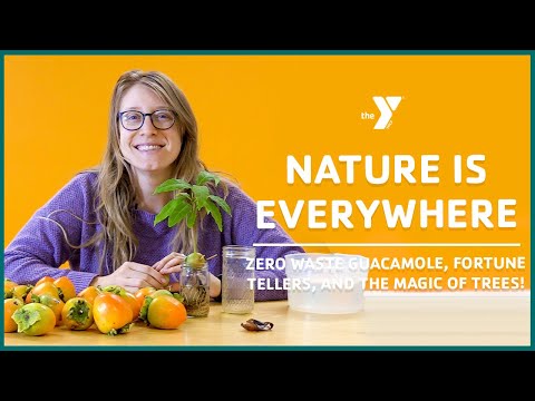 Nature is Everywhere with Reesha:  Zero Waste Guacamole, Fortune Tellers, and The Magic of Trees!