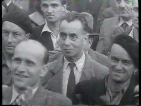 Erste Bundestagswahl 1949 in der deutschen und französischen Wochenschau