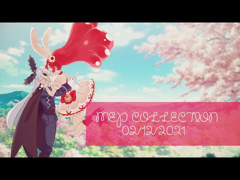 MEP Collection 02/12/2021