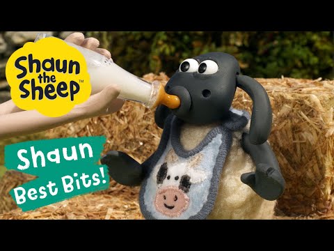 Farm Park 👩‍🌾 Shaun the Sheep Best Bits 💛 Season 6