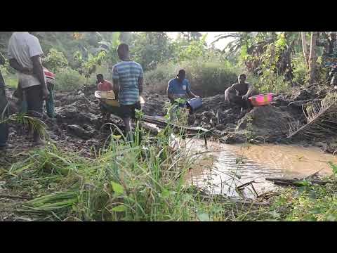 BTBGold Mining Operations