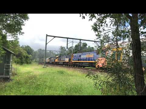 20220204_1320 5BM4 Gonarro