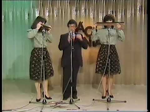 Tico Tico no Fubá" - Zequinha Abreu. Raul Mendes Harmónica Trio.