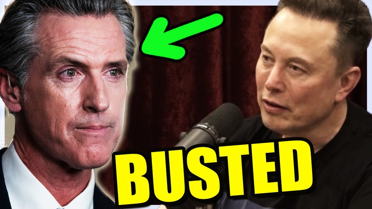 Elon Musk EXPOSES Dem Plan to STEAL Future Elections