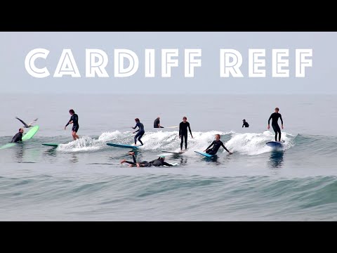 Swell solid la Cardiff Reef