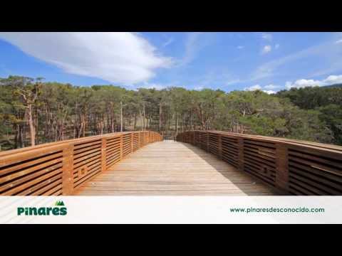 Pinares Desconocido - Casa de Madera, Sala de los Infantes