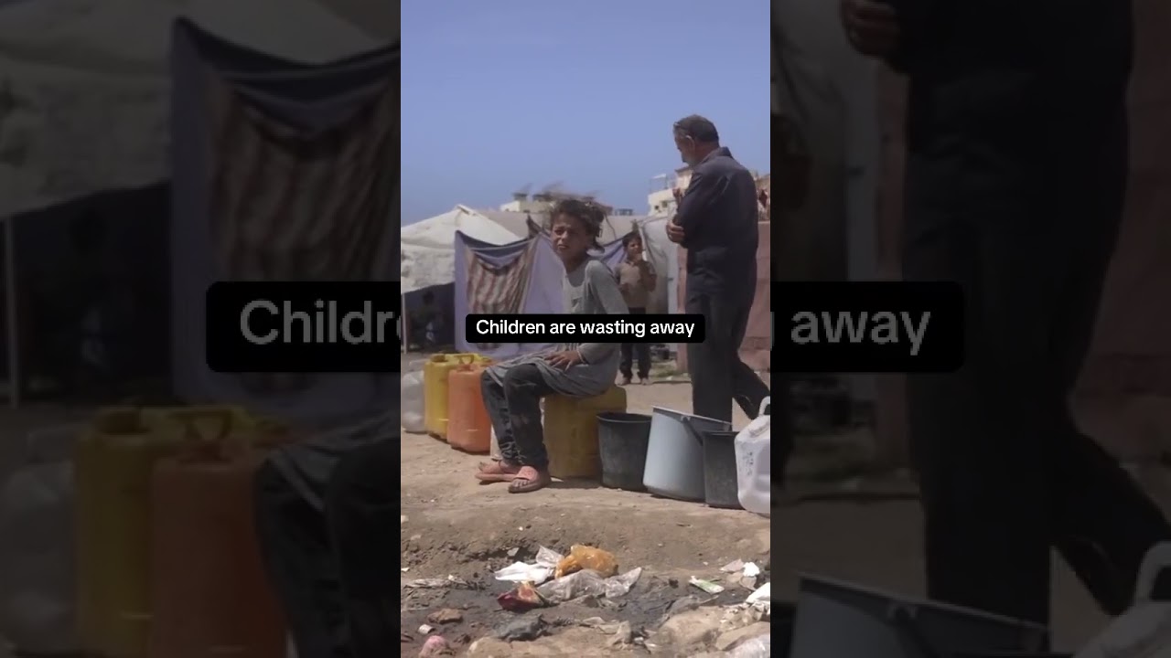 ‼️ The entire #Gaza strip is at risk of FAMINE.