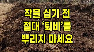 작물 심기 전 절대 '퇴비'를 뿌리지 마세요