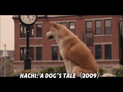 The Dog That Waited Forever | Hachi: A Dog’s Tale (2009) Heartbreaking True Story