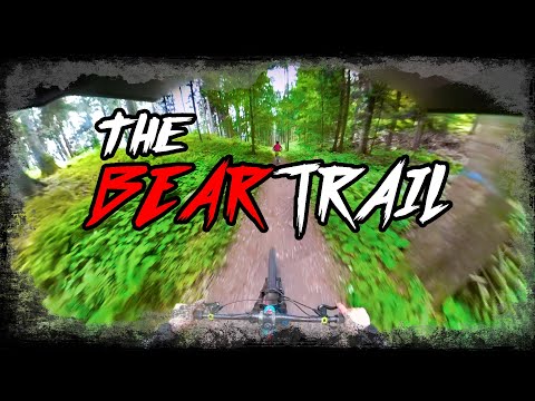 DOLOMITI PAGANELLA BIKEPARK   THE BEAR TRAIL EXPERIENCE 2020
