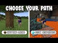 Minecraft if you could CHOOSE YOUR PATH...