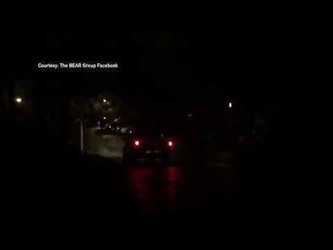 Bear Protesters Ticketed