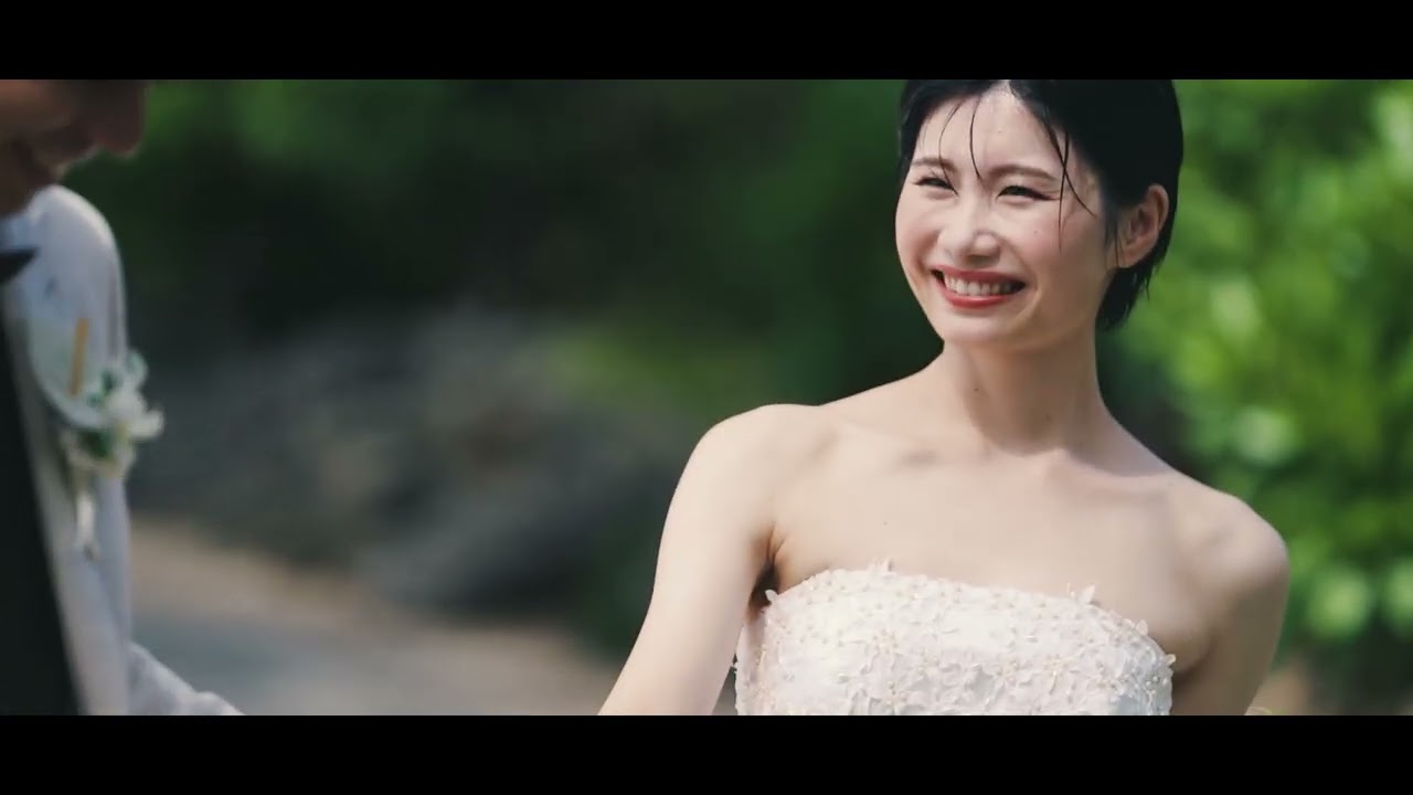 動画を見る