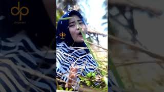 Download lagu SEUJUNG KUKU #shorts #seujungkuku #revinaalvira #gasentra #gasentrapajampangan #dwiprass mp3