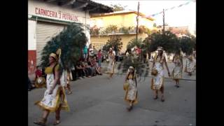 preview picture of video 'Fiestas Guadalupanas, Tecalitlán 2012. Día 1o de Diciembre.'