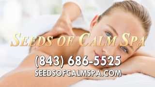 preview picture of video 'Couples Massage Therapy, Acupuncture in Hilton Head Island SC 29928'