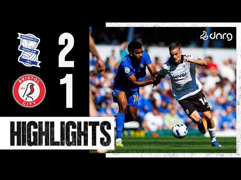 bg-highlight