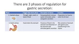 Regulation of Gastric Secretion